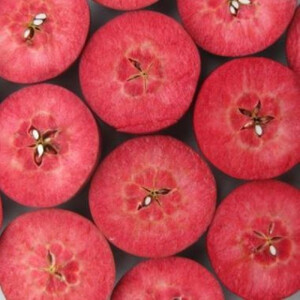 恋栞(こいしおり)りんごジュース<無添加ストレート100%>250ml×2本