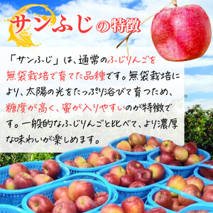 【11月下旬発送 先行予約】樹上熟成 サンふじ 3kg