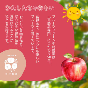 【11月下旬発送 先行予約】樹上熟成 サンふじ 5kg