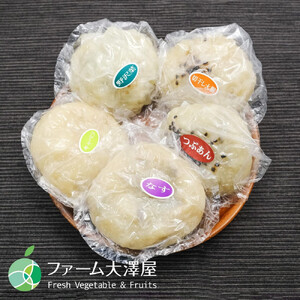 長野市産 おやき 10個【峰福堂本舗】