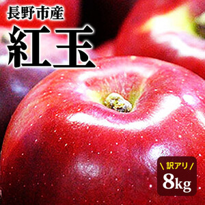 紅玉訳アリ8kg りんご 長野市産 フルーツ【2026年9月下旬以降の出荷】