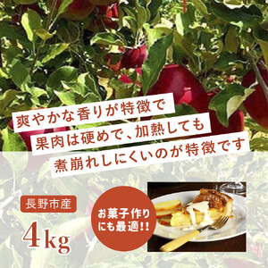 紅玉訳アリ12kg りんご 長野市産 フルーツ【2026年9月下旬以降の出荷】