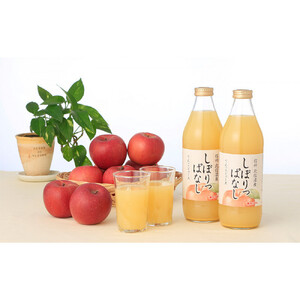 3ヵ月連続お届け！毎月変わる果汁100％人気ジュースセット定期便