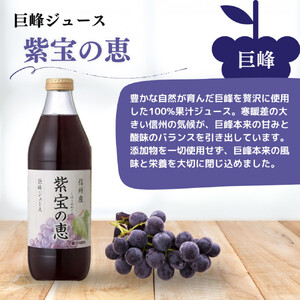 信州産 巨峰ジュース 果汁100％　「紫宝の恵」 (1L×4本)