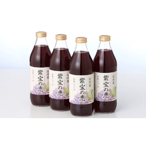 【定期便】3ヵ月連続お届け 信州産 巨峰ジュース 果汁100% 「紫宝の恵」 (1L×4本)