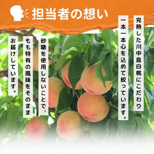 信州産 白桃ジュース 「千曲の滴」 果汁100% (1L×4本)