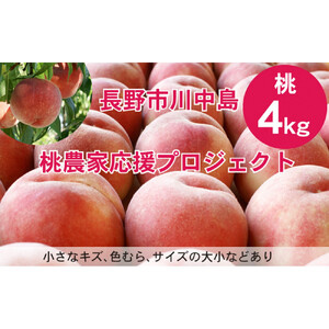 【先行予約】桃4kg(長野市川中島の桃農家を応援プロジェクト)【2026年7月下旬以降出荷分】