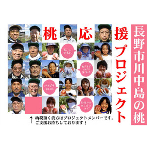 【先行予約】桃4kg(長野市川中島の桃農家を応援プロジェクト)【2026年7月下旬以降出荷分】