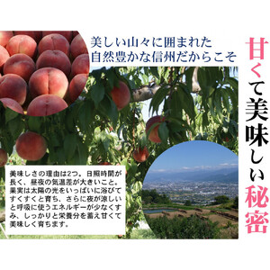 【先行予約】桃4kg(長野市川中島の桃農家を応援プロジェクト)【2026年7月下旬以降出荷分】