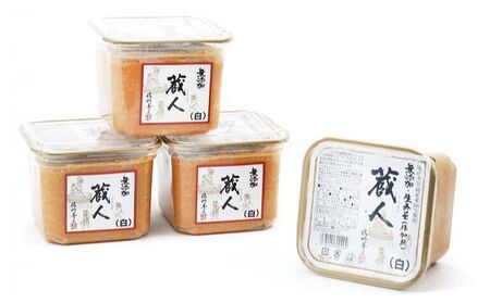 信州生味噌　国産蔵人　白味噌×4個入《4ヵ月ごと3回お届け》みそ 味噌汁 みそ汁 長野 こだわり 食材 調味料 ミソ 定期便 しろみそ 