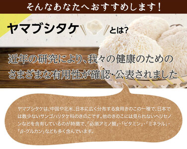 ホクトのヤマブシタケ　記憶の素 《 6ヵ月連続お届け 》 健康加工食品 定期便 