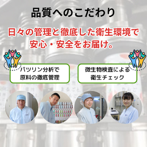 りんごジュース 長野 信州まるごと りんご ジュース 160g×30本 リンゴジュース 100% ストレート 飲料 果汁飲料 お土産 お取り寄せ リンゴ 林檎 長野県 長野市 長野県長野市 