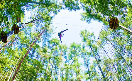 フォレストアドベンチャー・長野　利用チケット（ペア） 入場券 優待券 体験チケット 