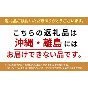 長野市産 ナガノパープル 特秀 2房【2026年9月以降出荷分】（タマファーム）