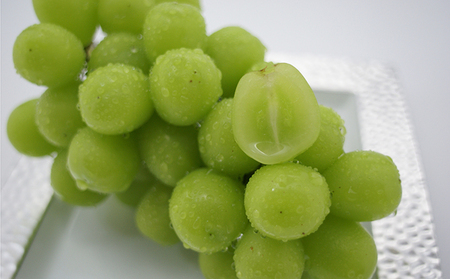 【長野市産】川中島白桃・シャインマスカット・ナガノパープルジュレセット　果物の王様3種ジュレセット ご当地 スイーツ ギフト お菓子 ゼリー ジャム ピーチ ぶどう 