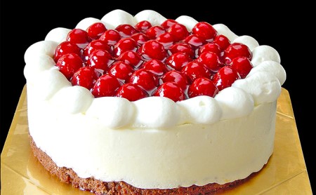 【6ヶ月連続お届け】最高級洋菓子の人気TOP6セット約15cm