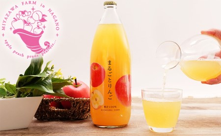 みやざわ農園　無添加りんごジュースセット（まるごとりんご・3種のりんご各2本） 飲料類 果汁飲料 リンゴ 