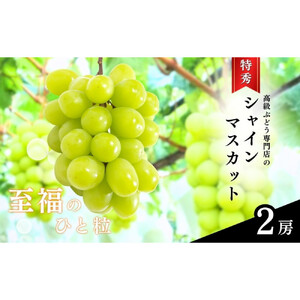 長野市産シャインマスカット【特秀】2房【2026年9月中旬以降出荷分】（タマファーム）