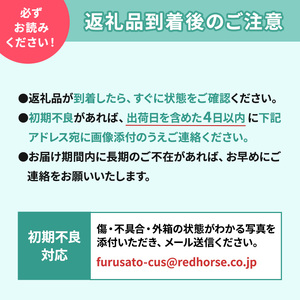 【2024年12月より順次発送 先行予約】 訳あり りんご 長野市産 サンふじ 約 5kg