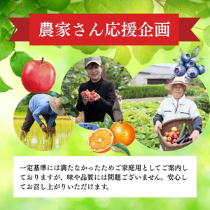 2026年産【農家応援企画！！】シャインマスカット家庭用3パック（約350g×3）※オンライン決済限定 果物 ぶどう フルーツ 食後 デザート 