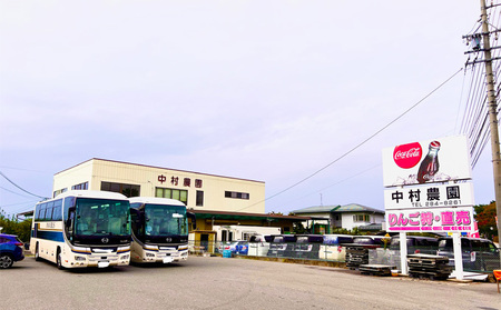 2026年発送 長野市産　シャインマスカット　2kg　訳あり