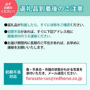 2026年産 長野市産シナノスイート家庭用 約10kg オンライン決済限定 果物 フルーツ デザート 食後 おやつ 長野県産 信州 甘い 交配品種 酸味が少ない りんご 