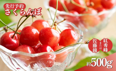 2026年産先行予約 さくらんぼ 約500g オンライン決済限定 果物 フルーツ デザート チェリー 佐藤錦 紅秀峰