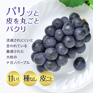 ぶどう 先行予約 長野市産 ナガノパープル 皮ごとうまい！ 大粒2～3房 約1kg 果物 ブドウ 葡萄 フルーツ デザート おやつ 種なし 大粒 信州 2025年秋発送