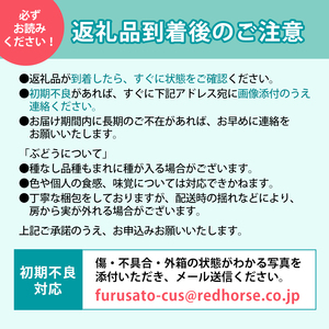 2026年産ぶどう  長野市産 シャインマスカット 約1kg  葡萄 ブドウ フルーツ 果物 シャイン マスカット デザート おやつ 信州 オンライン決済限定