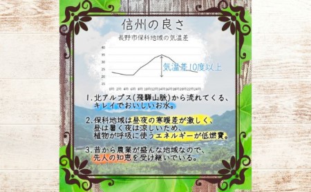 【信州長野市産】※2025年先行予約※ ナガノパープルの宝石箱 厳選18粒 9月より発送開始 