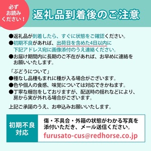 【信州長野県産】※2024年先行予約※　ナガノパープルの宝石箱　厳選18粒　9月より発送開始