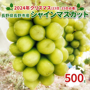 【2026クリスマス（23日～25日必着）】長野県長野市産シャインマスカット500g 果物 ぶどう フルーツ デザート おやつ 食後 信州のぶどう 長野県産 高級ぶどう