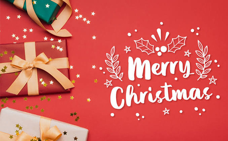 【2026クリスマス（23日～25日必着）】長野県長野市産シャインマスカット500g 果物 ぶどう フルーツ デザート おやつ 食後 信州のぶどう 長野県産 高級ぶどう