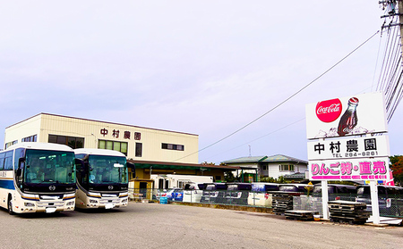 【2026クリスマス（23日～25日必着）】長野県長野市産シャインマスカット500g 果物 ぶどう フルーツ デザート おやつ 食後 信州のぶどう 長野県産 高級ぶどう