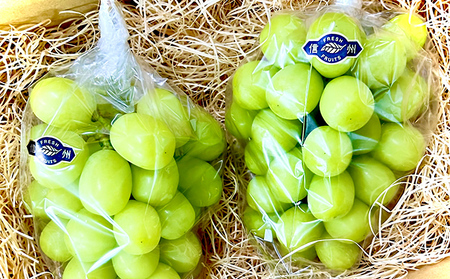 2026年産長野県長野市産冷蔵シャインマスカット　約1kg