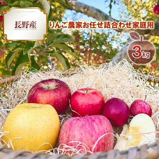 2026年産 長野産りんご農家お任せ詰合わせ家庭用3kg 果物 フルーツ デザート 食後 濃密