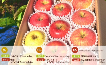 先行予約 ぶどうりんご家庭用3回発送（9・10・12月）（ぶどう合計約2kgりんご合計約6kg）2024年発送