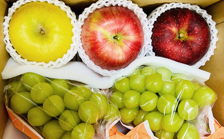 2026年産　先行予約 ぶどうりんご家庭用3回発送（9・10・12月）（ぶどう合計約2kgりんご合計約6kg） 果物 フルーツ デザート 食後 長野県産 新鮮 香りがいい 完熟りんご 信州 長野のりんご 信州産