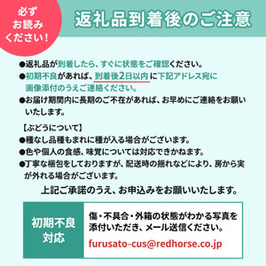 2026年産 ぶどう  種なし 巨峰 約 2kg 箱3～6房入り 巨峰種無し フルーツ 果物 旬 ブドウ 葡萄 おやつ 信州 長野県 長野市 2026年 秋発送 長野県長野市