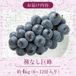 2026年産ぶどう  種なし 巨峰 約4kg 6～12房入り 果物 ブドウ 葡萄 フルーツ デザート おやつ 信州 2026年秋発送