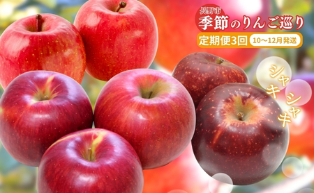 りんご 2026年 先行予約 定期便 3ヶ月 季節のりんご 5kg 食べ比べ フルーツ 定期 3回