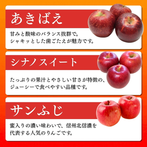 りんご 2026年 先行予約 定期便 3ヶ月 季節のりんご 5kg 食べ比べ フルーツ 定期 3回