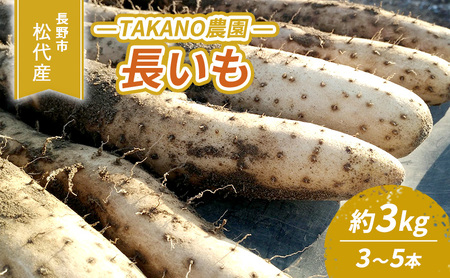 先行予約 長野市松代産 TAKANO農園　長いも 約3kg【3～5本】