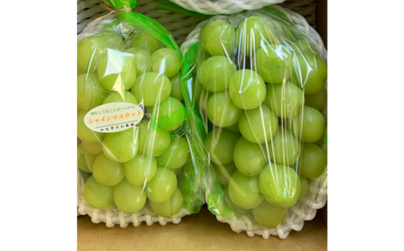 信州産シャインマスカット2房（合計1kg以上）大粒＆大房 果物 ぶどう フルーツ デザート 食後 種なし 皮ごと 秋の味覚 旬の果物 