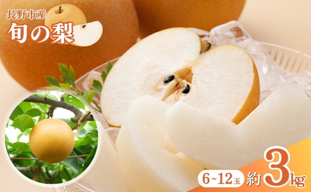2026年産  農家おすすめ「梨」（幸水または豊水）約3kg（6玉～12玉） 果物 フルーツ デザート 食後 秋の味覚 旬の果物 果汁たっぷり ジューシー