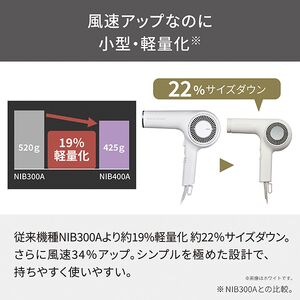 プロフェッショナル プロテクト イオン ヘアー ドライヤー ホワイトアッシュ（NIB400A-W）