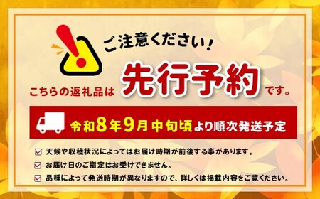 【先行受付：2026年発送】信州産 種無し巨峰 2房 約1kg