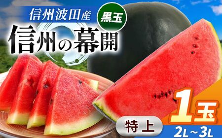 【先行受付】信州波田産 贈答用 黒玉スイカ ！ 信州の幕開 【特上】 2L～３Lサイズ 1玉