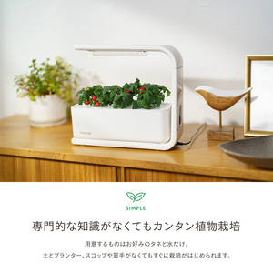 IZUMI 水耕栽培キット Hugvege SA-H133A-W (本体、培地スポンジ、液肥、ランダムタネ2種類)| 植物 野菜 育成 園芸 家庭菜園 長野県 松本市 ふるさと納税 FN-Limited