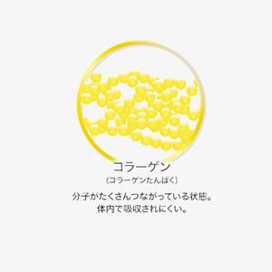 DHC コラーゲンビューティ 9000プラス　4ケース（60本）